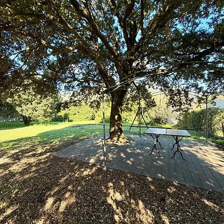 Maison 4 Vue Jardin Et A 1 Min Nyaraló Olmeto